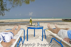 Lessons on what to do with your dive buddy, after the  di... by Patrick Reardon 